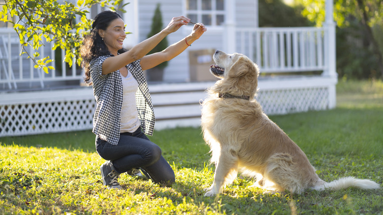 A woman trains her golden retriever using a treat in the backyard of a home