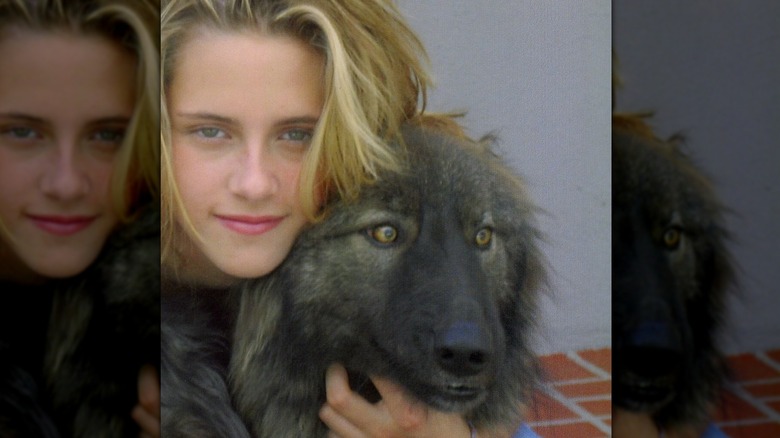 Kristen Stewart poses with a wolf-dog hybrid.