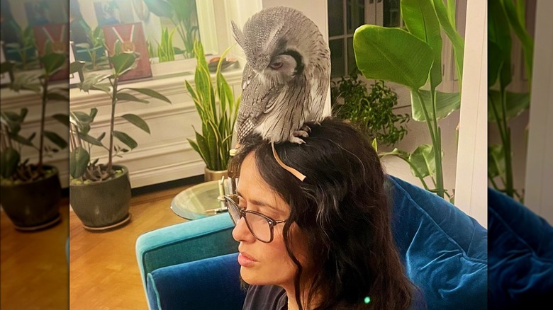 Salma Hayek sits on a couch with her pet owl, Kering, on her head.