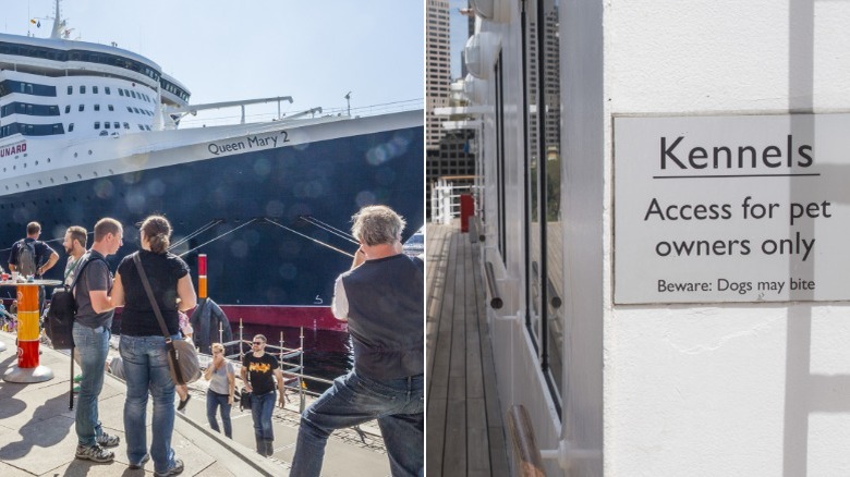 Passengers gathered around the Queen Mary 2, a kennel access door for the Queen Mary 2