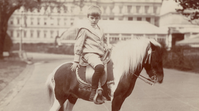 Archie Roosevelt on the pony Algonquin