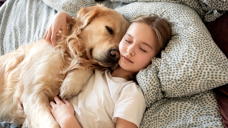 a young girl is in bed, cuddled up with a golden retriever dog