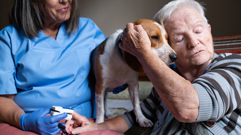 an elderly man cuddles with a beagle while a nurse takes his vitals at home