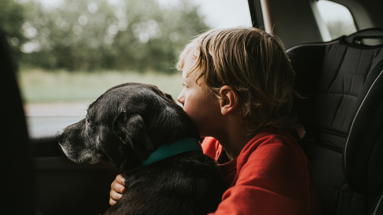 a young boy in a reddish shirt sits in a car, hugging a black dog with a silver muzzle