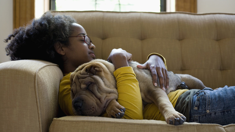 a young girl naps peacefully on a tan couch, holding a shar-pei dog who is also fast asleep