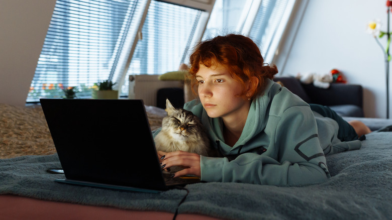 a young woman and a tabby cat lie in bed, both staring at a laptop