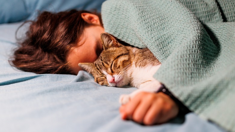 a young boy and his cat are peacefully asleep beneath a blanket