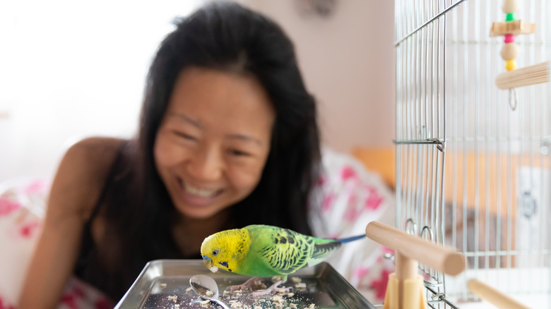 a young woman is sitting up in bed, smiling at a yellow and green parakeet that sits on a ledge outside its cage