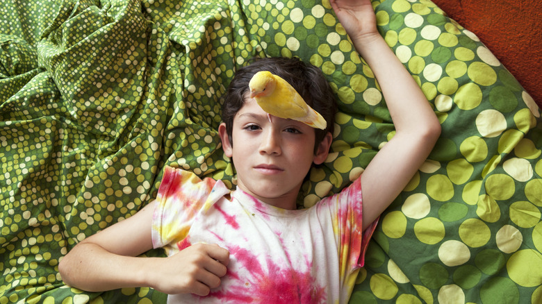 a young boy lays on his back in bed, with a pet lovebird sitting on his forehead