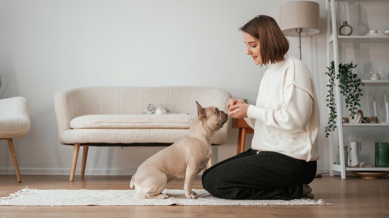 woman giving treat to dog