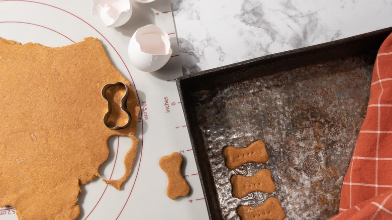 a counter with homemade dog treat dough