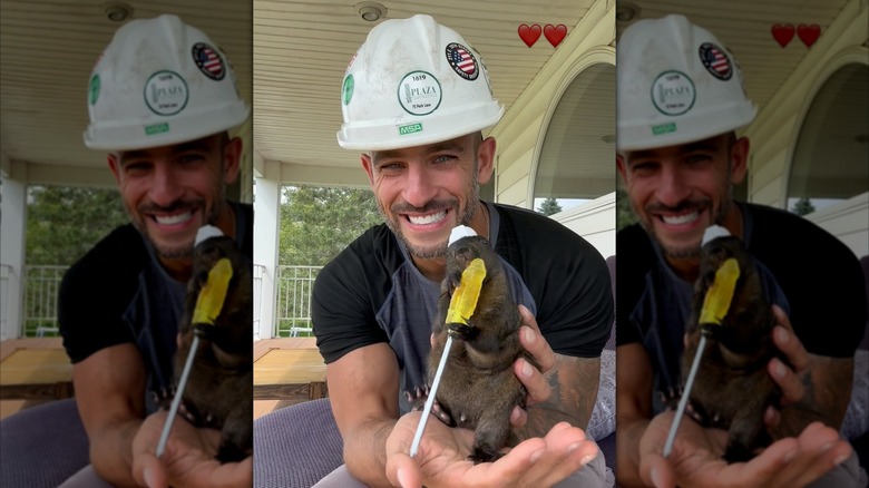 Peanut the squirrel in a tiny construction hard hat