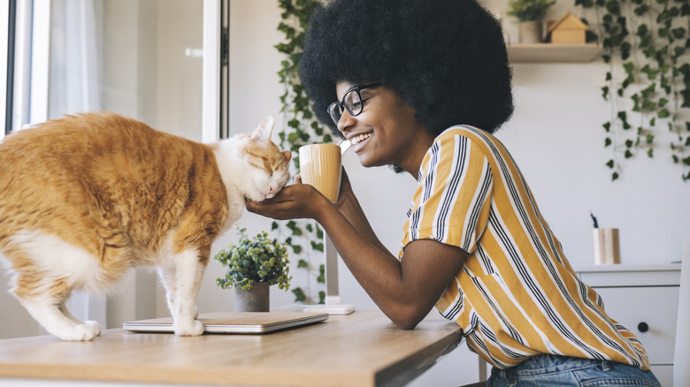 woman petting a cat