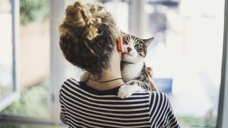 person holding a cat