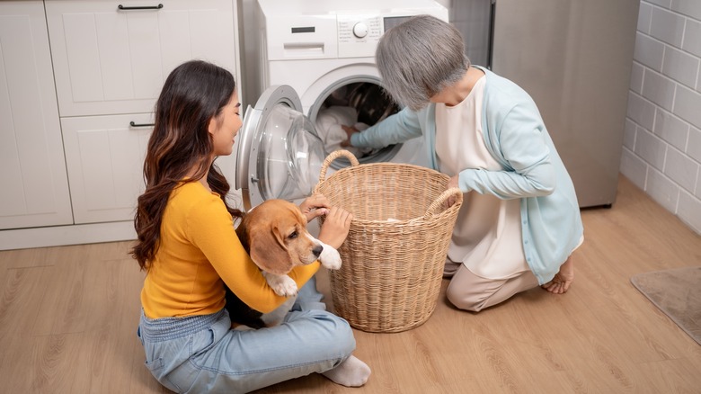 mother and daughter doing washing with dog