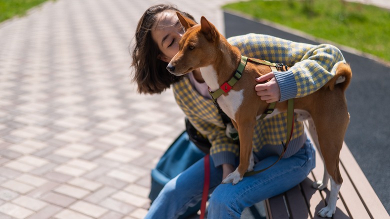 woman sits on bench with basenji