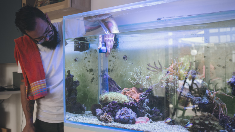 bearded man adding to his aquarium setup