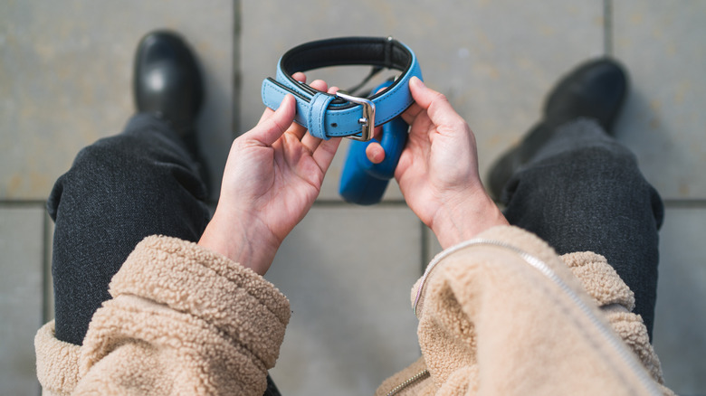 a person holds an empty dog collar, view from above