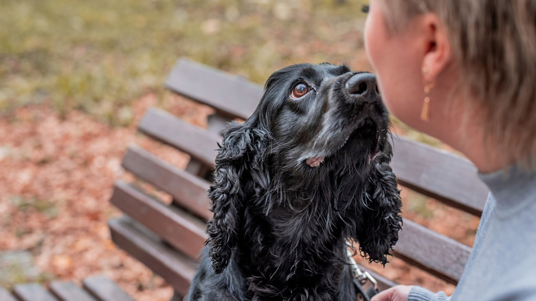 dog sniffing a woman's breath