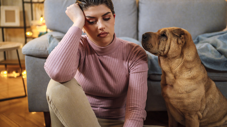 dog watching woman who appears to be stressed