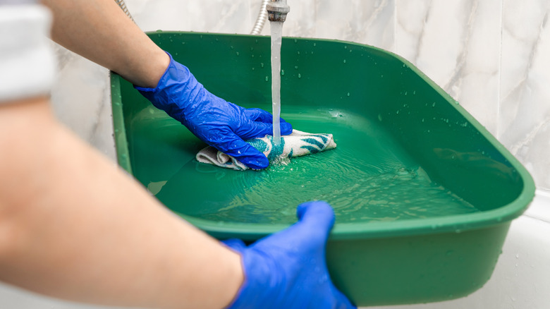 A man washes a litter box in the bathroom