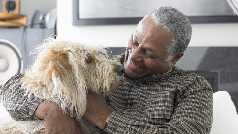 An older man petting a dog