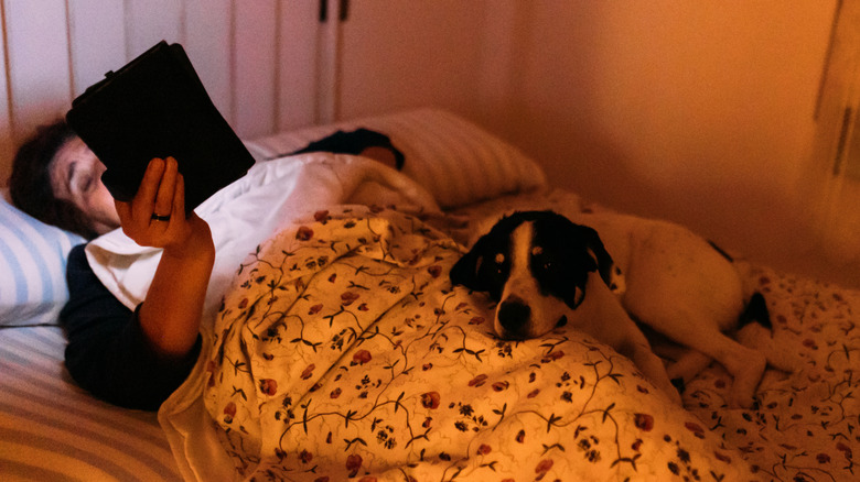 person awake in bed reading with their dog next to them