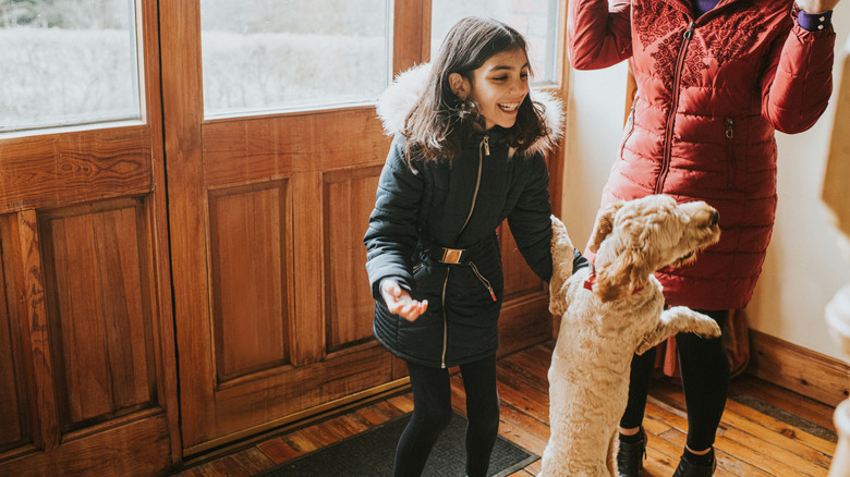 happy dog greeting their owners at the door