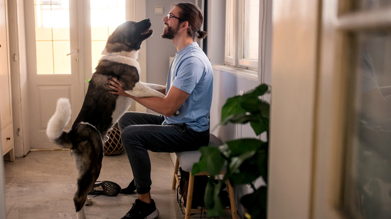 A dog jumps up to greet a person who is sitting on a bench.