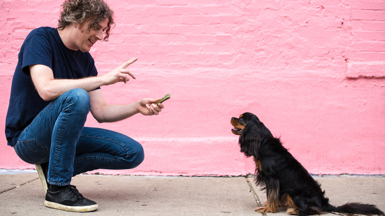 Man training a Cavalier King Charles spaniel with the leave it command