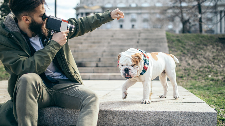 a man is using a vintage camera and trying to get a bulldog's attention to look up