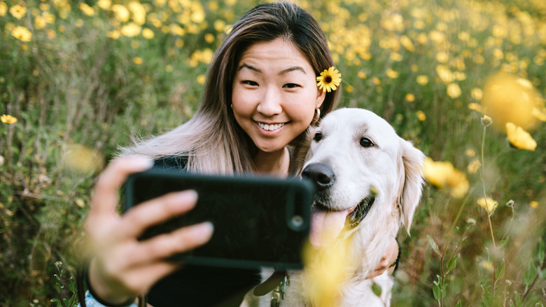 A woman takes a picture of her Golden retriever with her phone