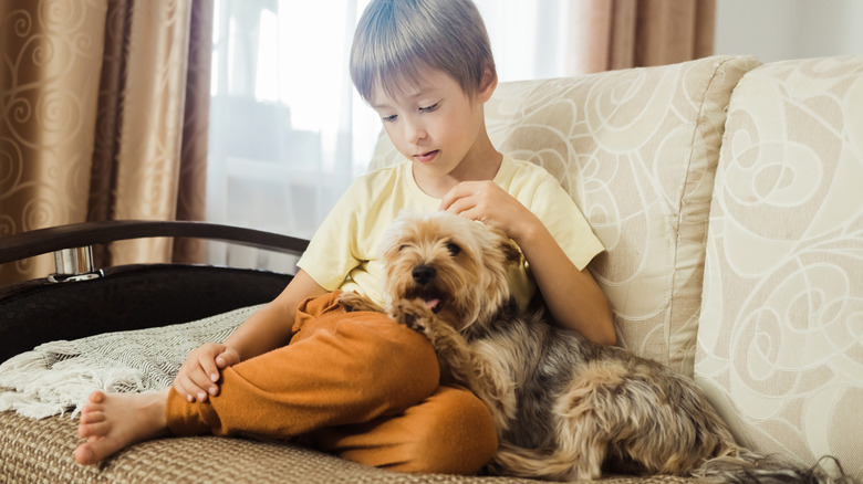 Boy on sofa, petting Yorkshire terrier on his lap