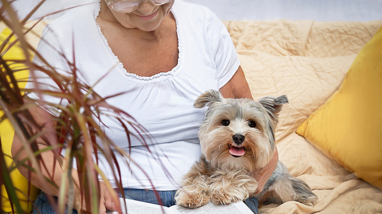 Lady sitting on sofa reading a book with a Yorkshire terrier sitting at her side