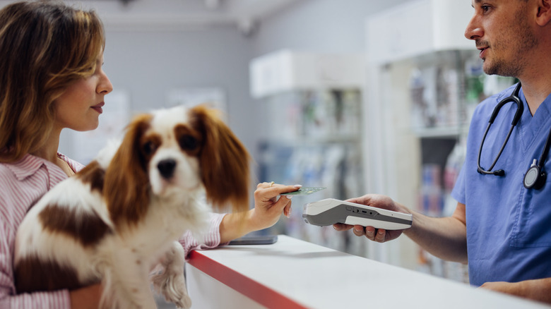 A person holds their dog and taps a credit card to a machine held by a vet in scrubs.