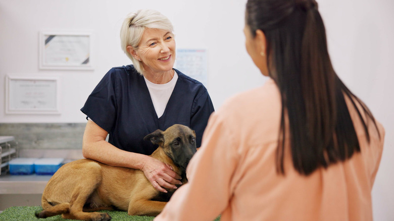 A vet holding a dog speaks to the dog owner.