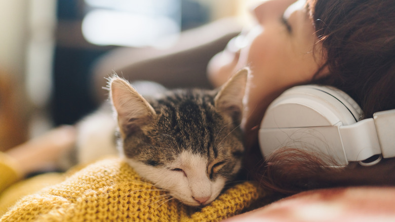 Kitten sleeping on owner's shoulder