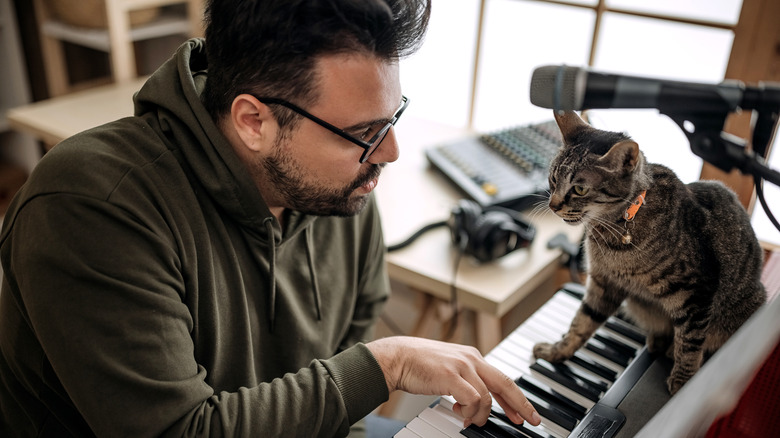 An upset cat sitting on a keyboard as owner tries to play