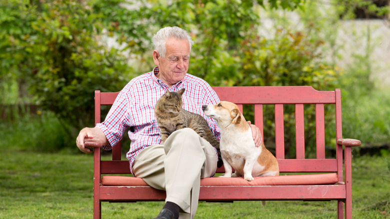 Elderly man on bench with cat on his lap and dog seated beside him