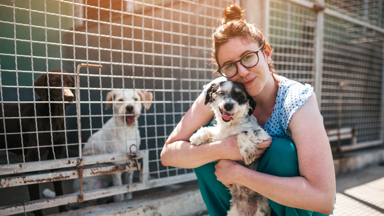 Woman hugging a dog at shelter, two other dogs in enclosure behind her