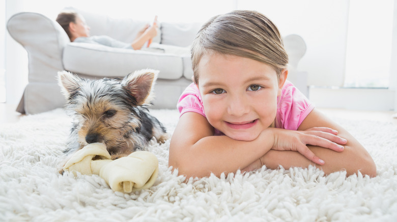 a yorkie and little girl