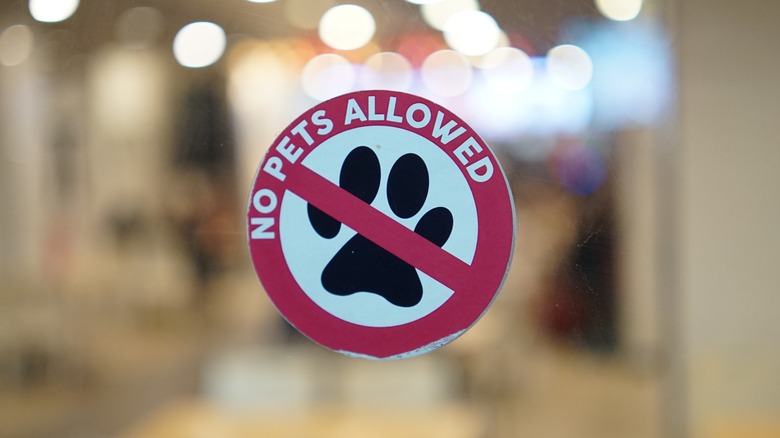 A no pets allowed sign on glass wall