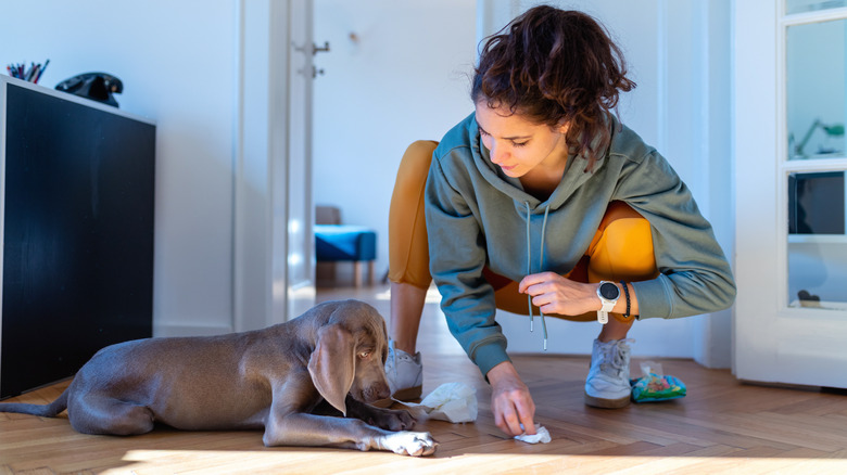 woman cleaning up her puppy's accident