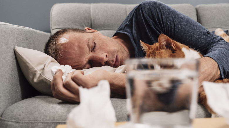 cat lying with sick caretaker