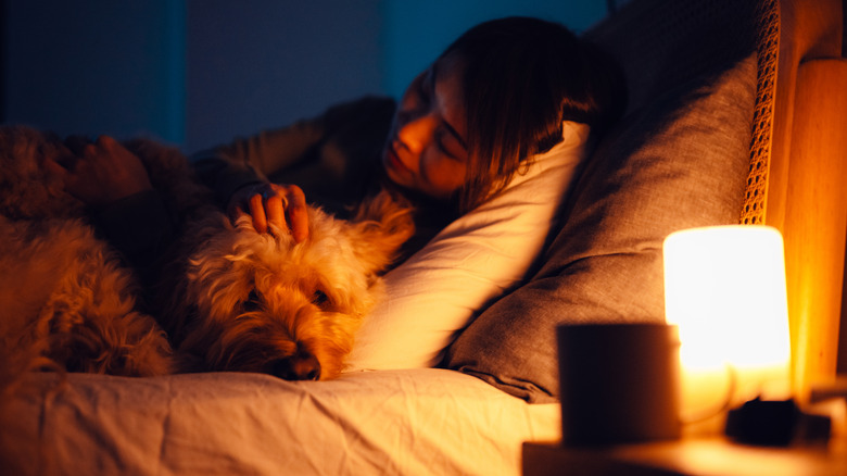 Woman petting labradoodle in bed at night