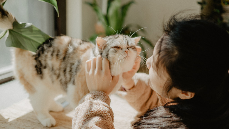 A woman petting a cat on a table